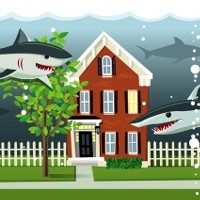 How to spot a property spruiker shark